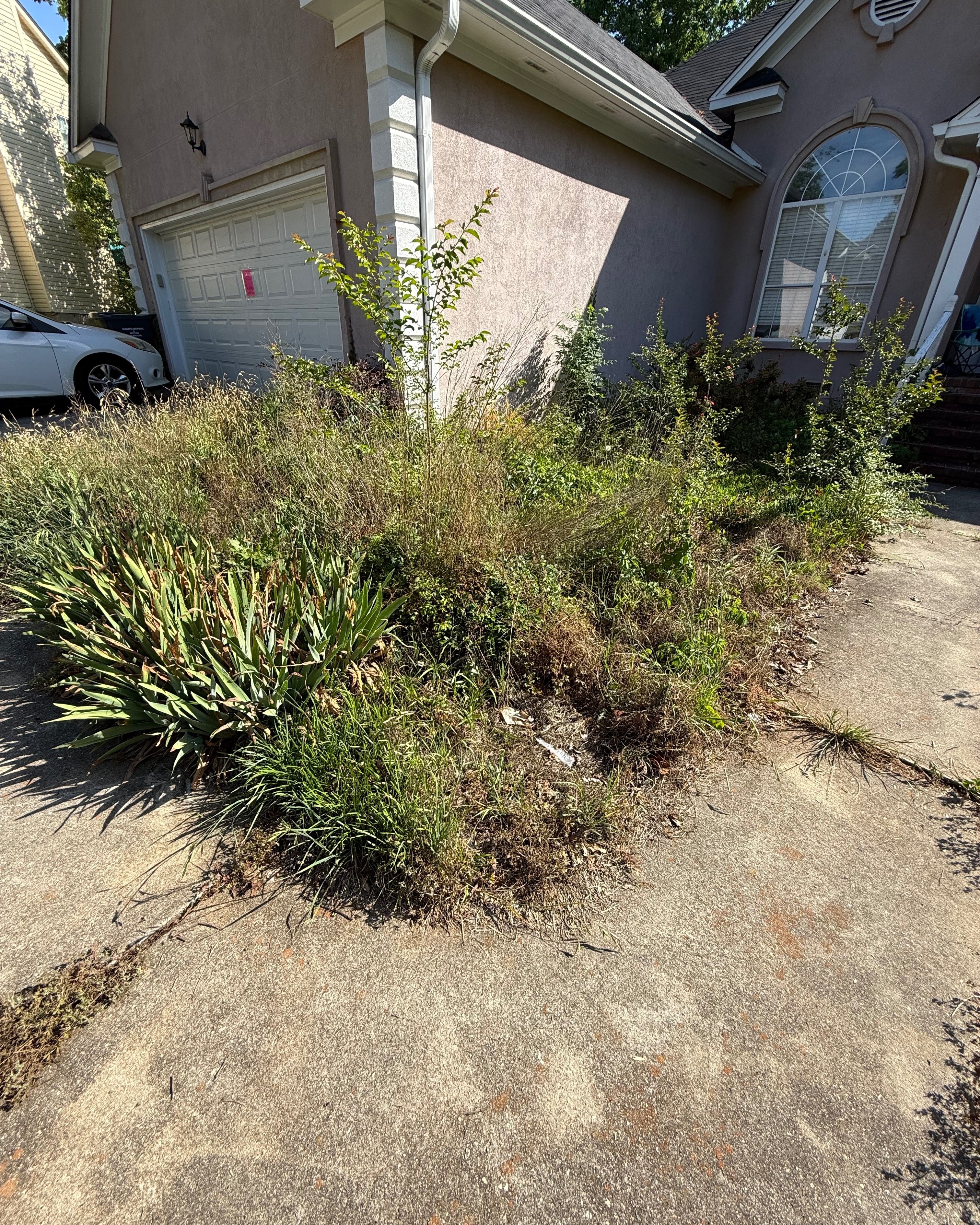 Before photo of Mulch & Pine Straw job in Augusta, GA by Anything Exterior