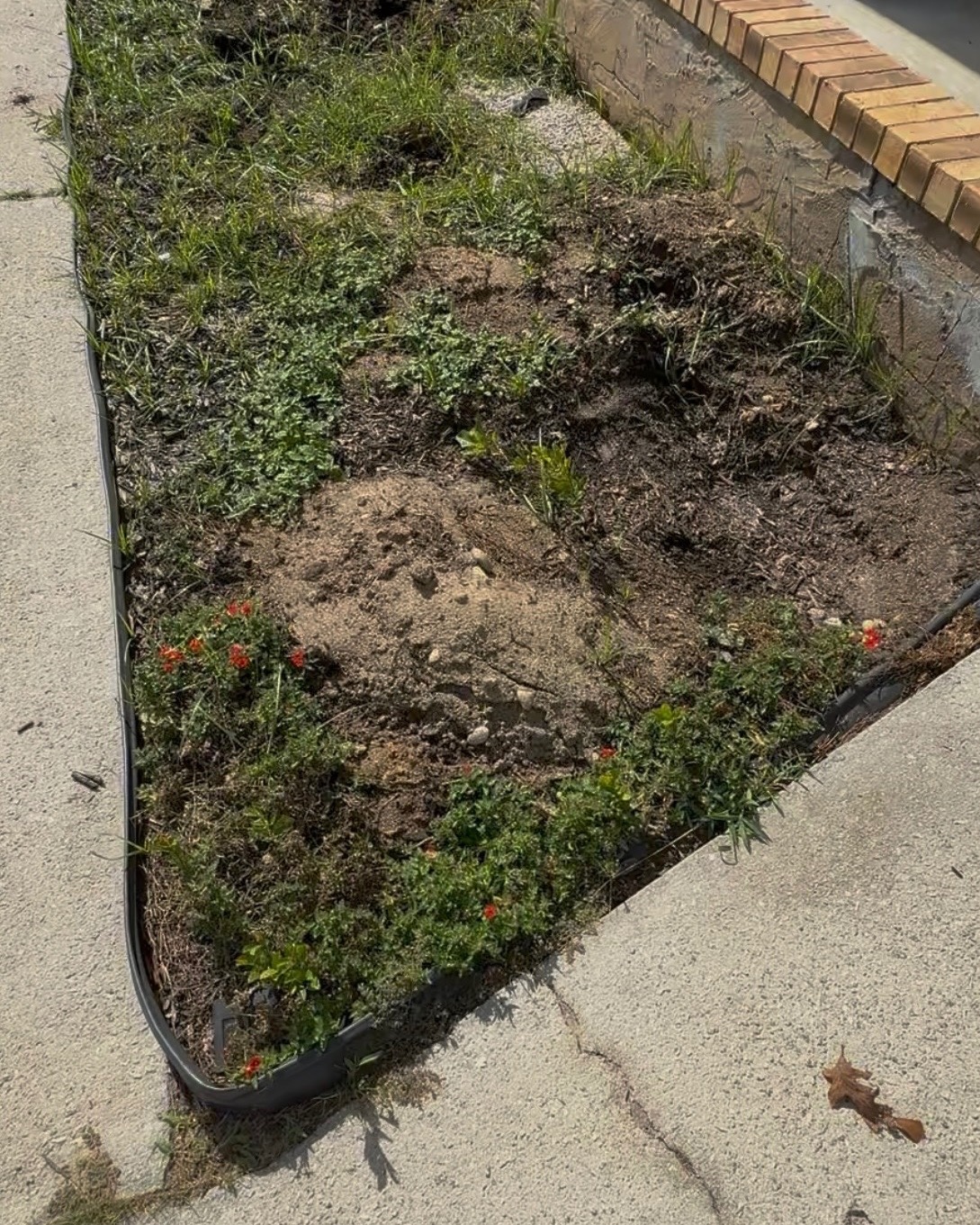 Before photo of Mulch & Pine Straw job in the Augusta, GA Area by Anything Exterior