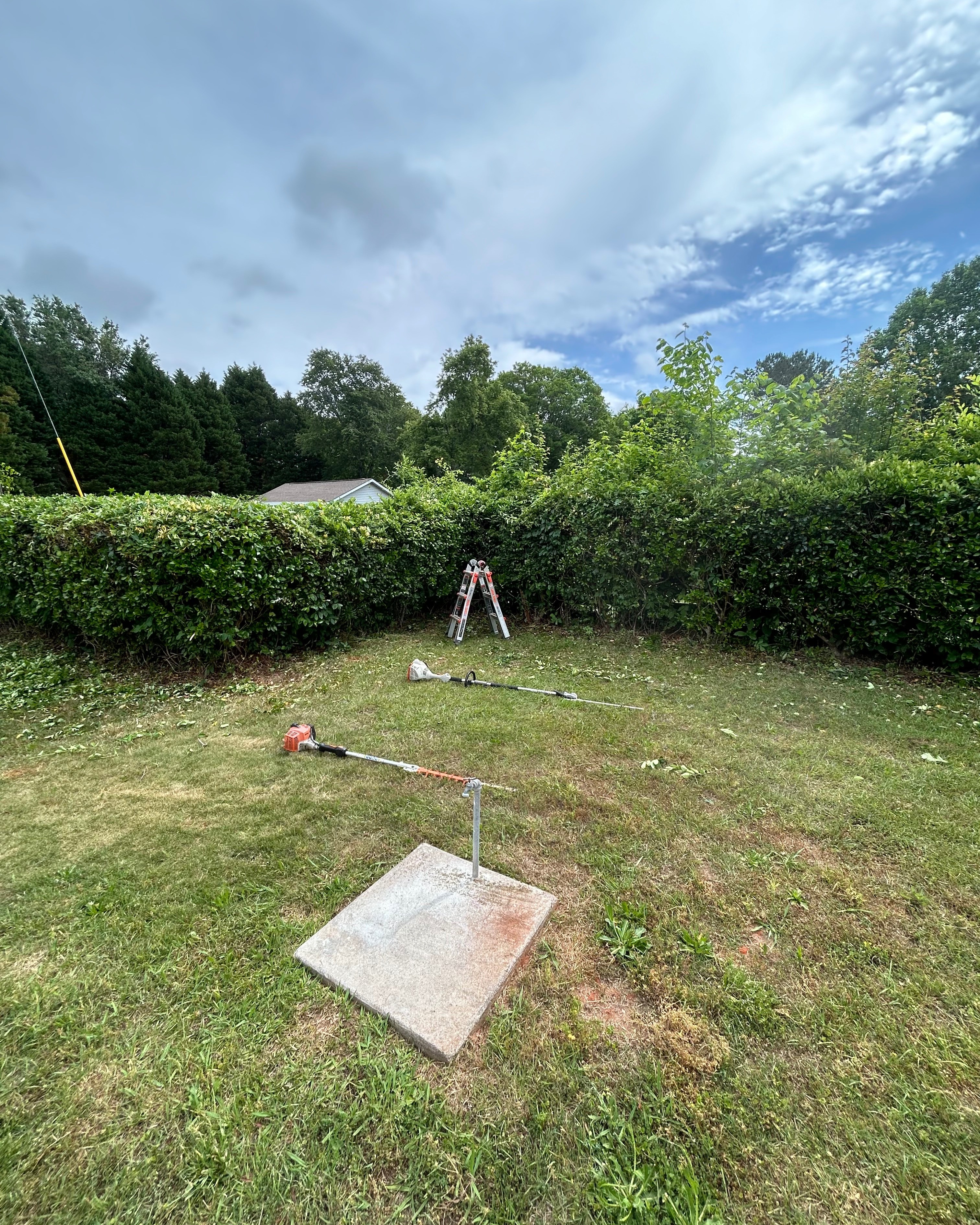 Before photo of Lawn Care job in Augusta, GA by Anything Exterior